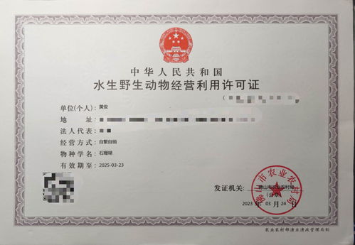 攜手專業力量，共拓水產健康養殖新篇章——誠邀各省市代理加盟